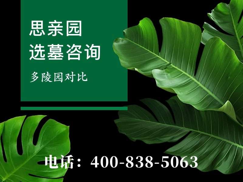 思亲园陵园指纹墓碑：指纹采集全解析